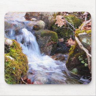 Ribeiro Mousepad da floresta