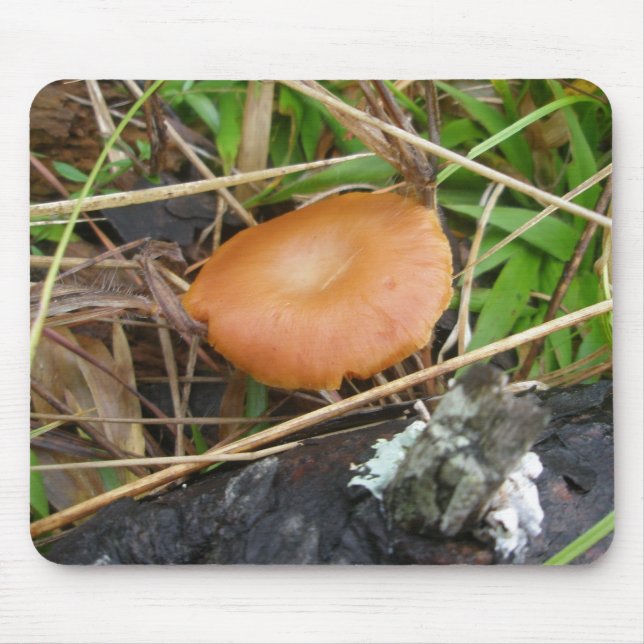 Rich Brown Mushroom OBX Mousepad (Frente)
