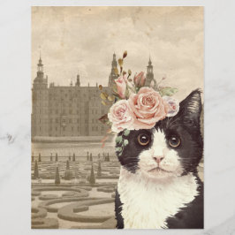 Rico Cat e o Papel Escrapbook do Castelo