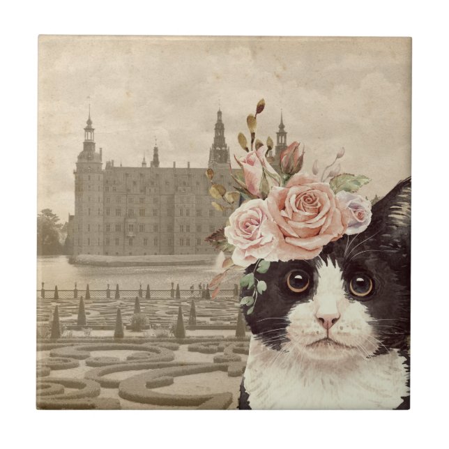 Rico Cat & The Castle (Frente)