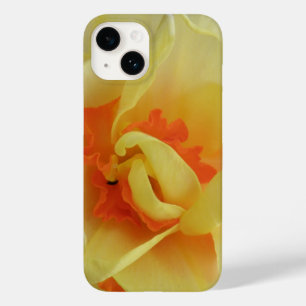 Rico Daffodil