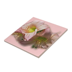 Rico - Dias Rosa