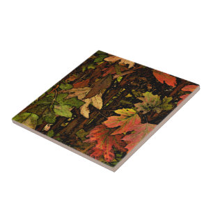 RICOS, QUEDA LEAVES/DIG DAS CORES DE EARTHTONE.