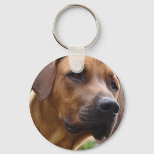 Ridgeback Chaveiro
