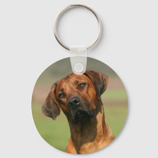Ridgeback Chaveiro
