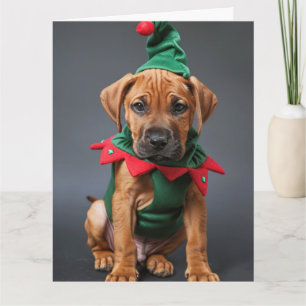 Ridgeback Elf Puppy Cartão de Natal