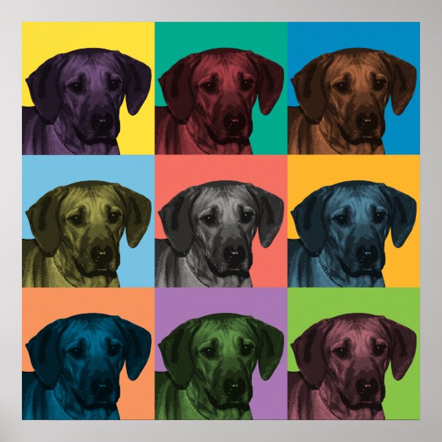 Ridgeback Pop-Art Poster (Frente)