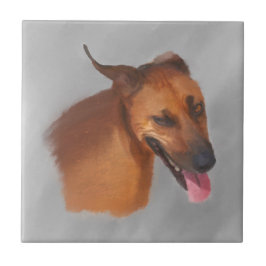 Ridgeback rodesiano
