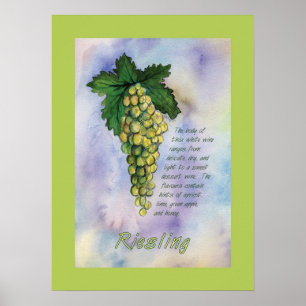 Riesling Wine Grapes Poster