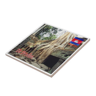 Rif. KH Camboja, Ta Prohm,