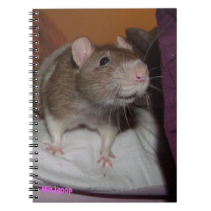 Rindo do caderno espiral de rato