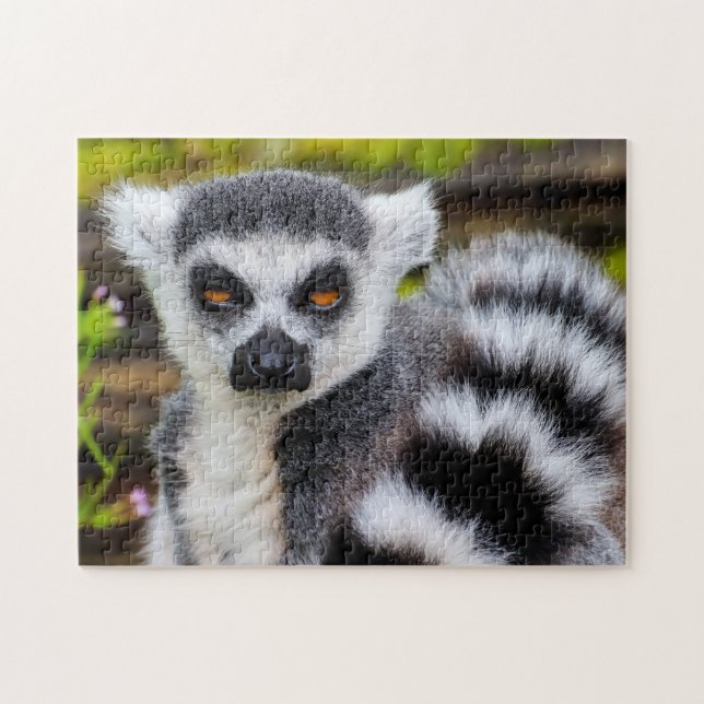 Ring Tailed Lemur, Quebra-cabeça de serra (Horizontal)