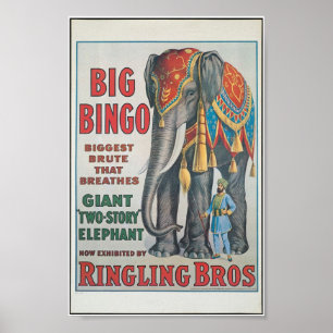 Ringing Bros Big Bingo the elefante Circus Poster