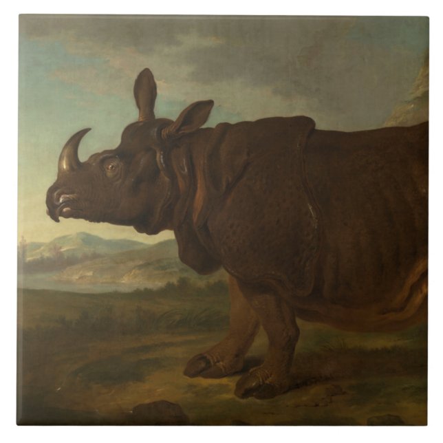 Rinocerontes (Rhino) (Wild Animal) (por J.B. Oudry (Frente)