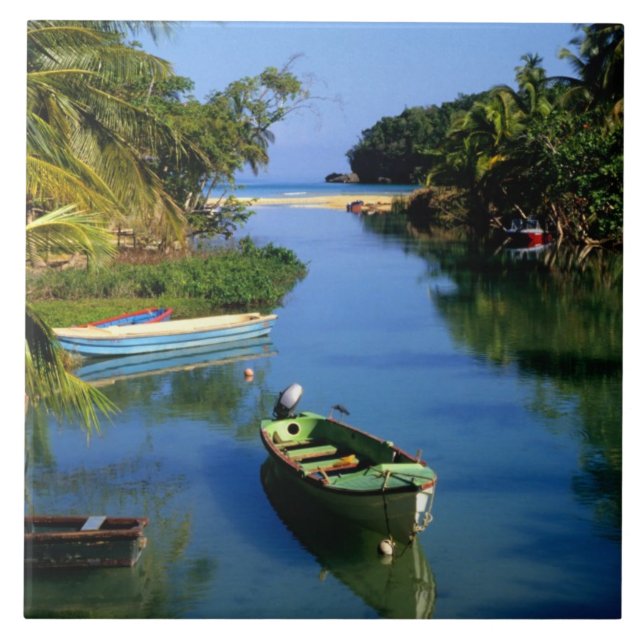 Rio Cênico perto de Ocho Rios na Jamaica (Frente)