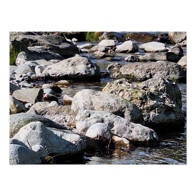 Rio da Montanha dos Cárpatos – Impressão da Nature (Frente)