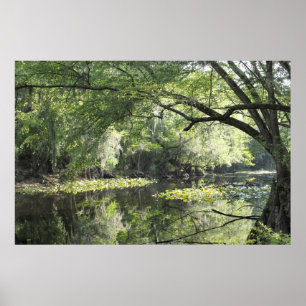Rio de Cypress um poster -60x40 da peça - ou meno