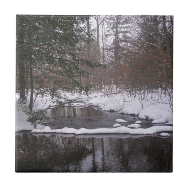 Rio de inverno (Frente)