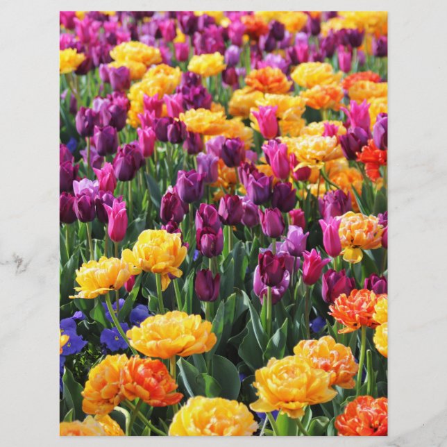 Rio Floral Falln Sunset (Frente)