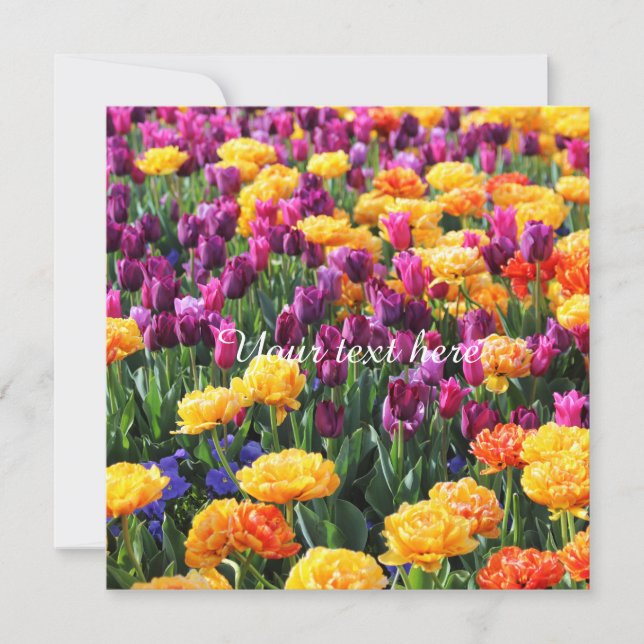 Rio Floral Falln Sunset (Frente)