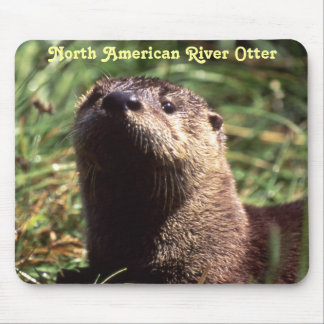 Rio Otter Up Close e Personal Mousepad