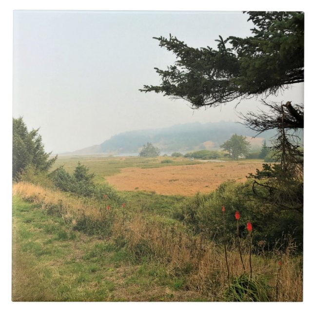 Rio Trail em Cape Blanco, Oregon Costa (Frente)