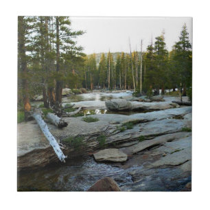 Rio Tuolumne por Campground, Yosemite, CA