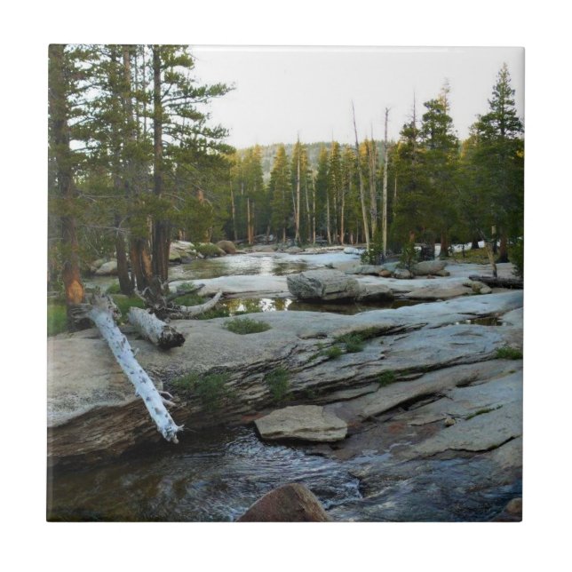 Rio Tuolumne por Campground, Yosemite, CA (Frente)