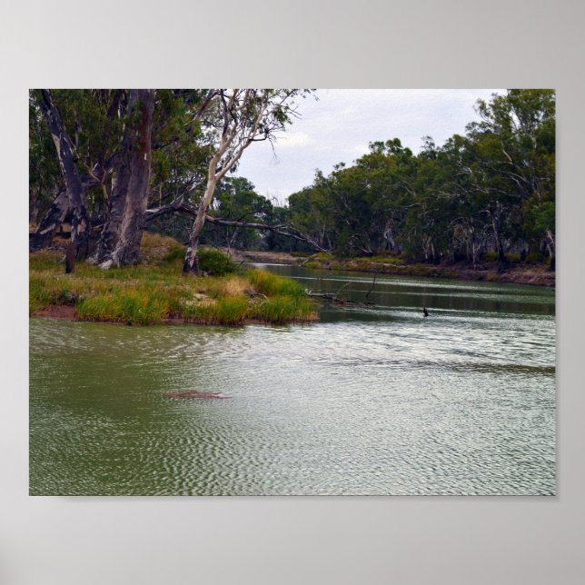 River Murray Australia The Bend, Poster (Frente)