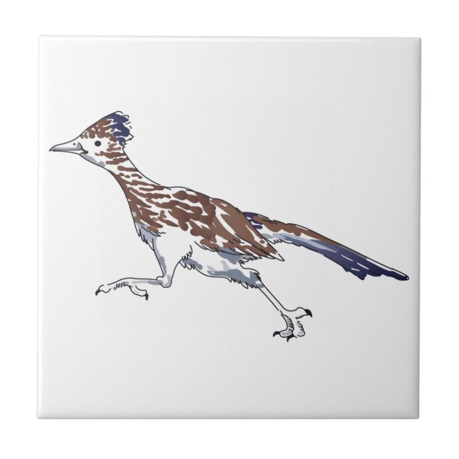 Roadrunner (Frente)