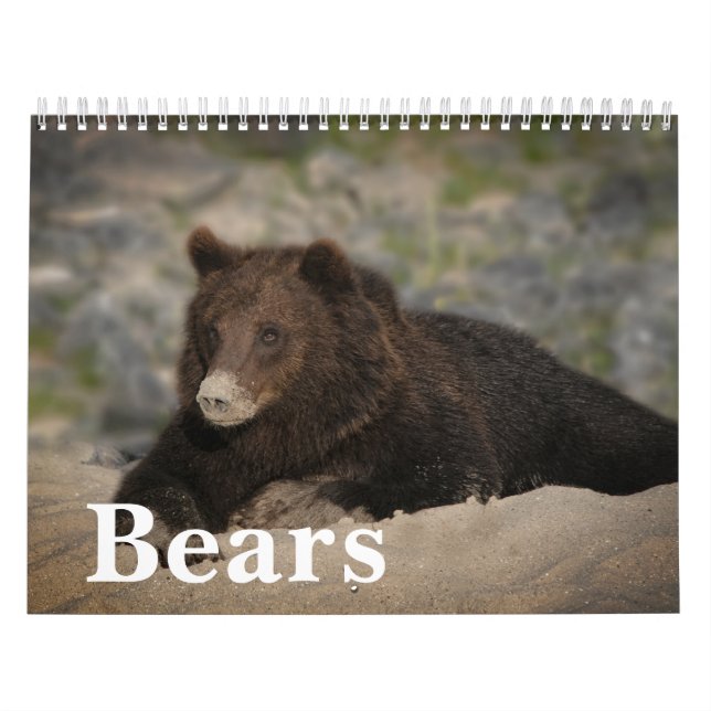 Roaming 2026 com Giants - Um Calendário do Urso Gr (Capa)