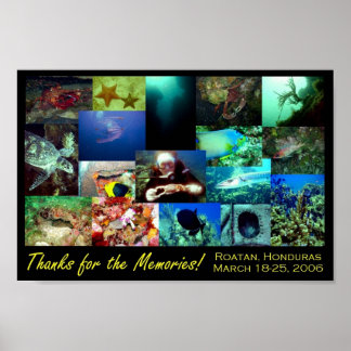 Roatan Collage Poster
