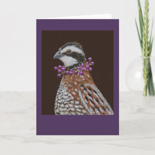 Robbie, o cartão de saudação bobwhite