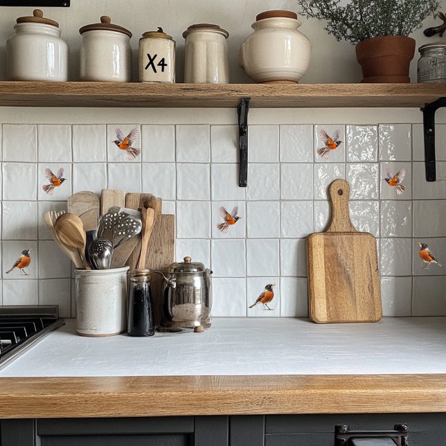 Robin Americano (Criador carregado)