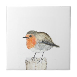 Robin Bird Wildlife Watercolor Colorida