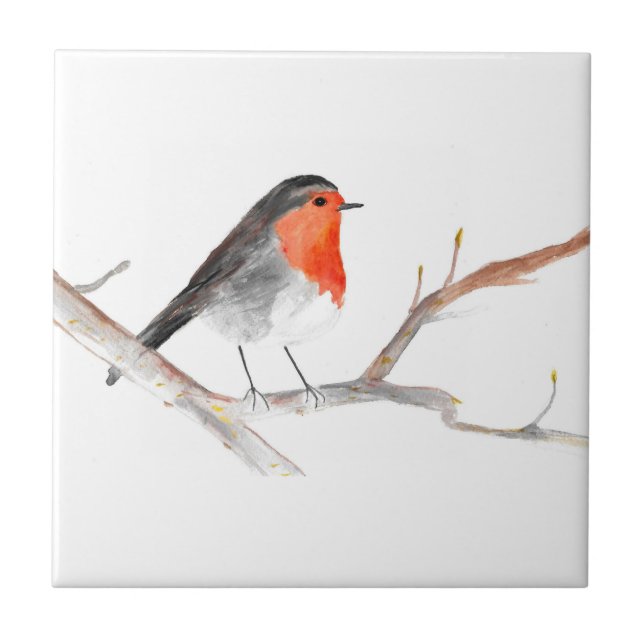 Robin Bird Wildlife Watercolor Colorida (Frente)