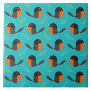 Robin Birds