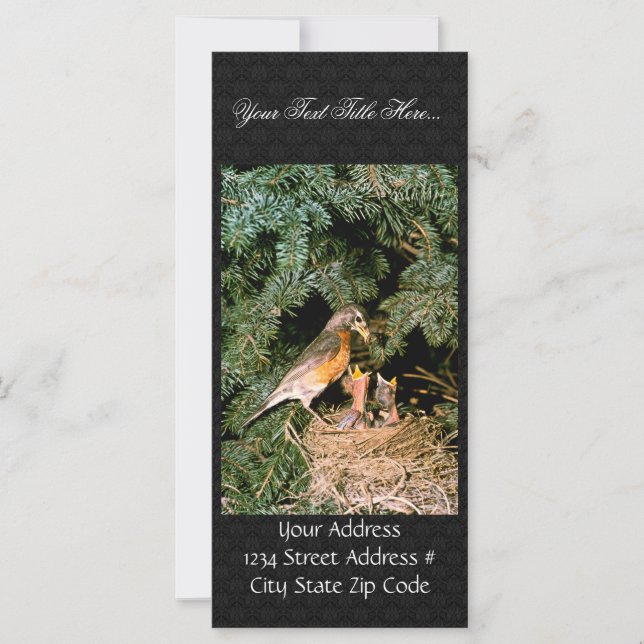 Robin com Pintinhos (Frente)