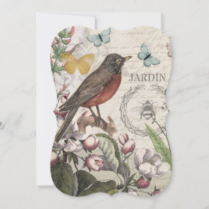 Robin Elegant Bird Butterfly Arte Francesa