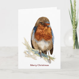 Robin Europeu olhando para o cartão de Natal