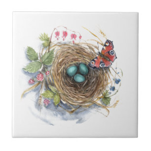 Robin Nest
