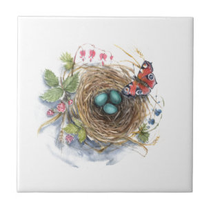 Robin Nest