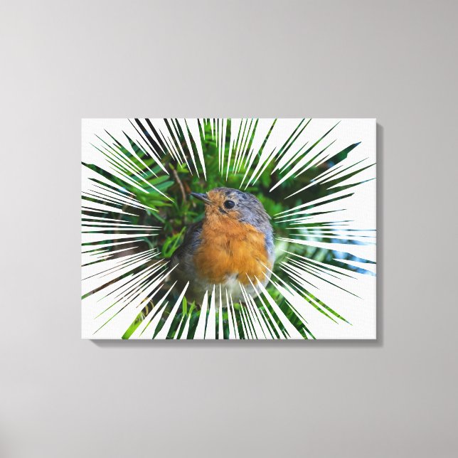 Robin para impressão de tela de fecho (Frente)