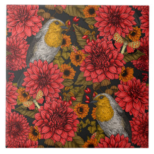 Robins no jardim do outono, dahlias vermelhas em p