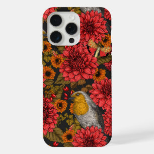 Robins no jardim do outono, dahlias vermelhas em p