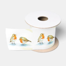 Robins vermelhos no inverno