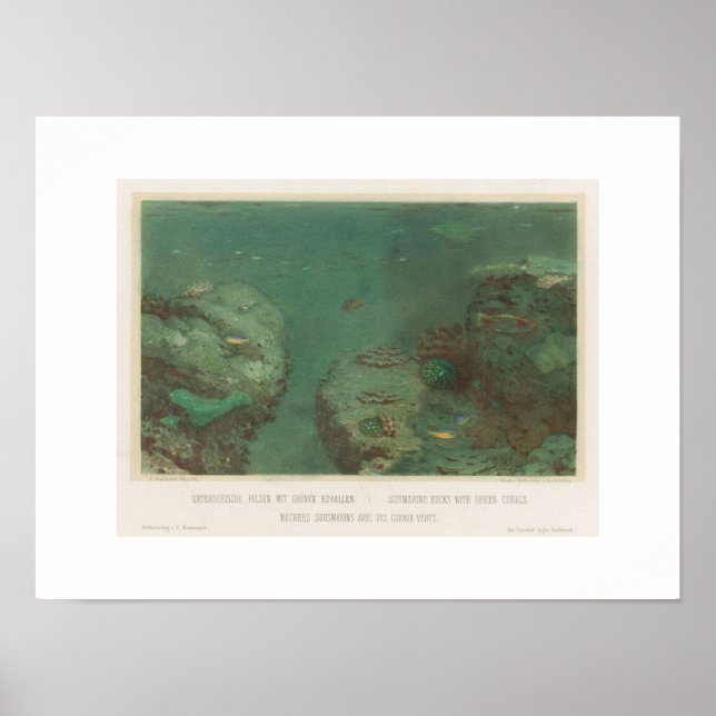 Rochas Submarinas Com Poster de Corais Verdes(1867 (Frente)