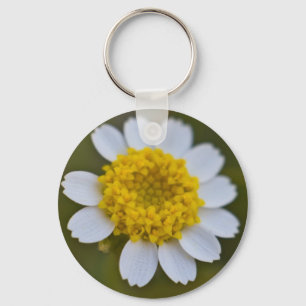 Rock Daisy Chaveiro