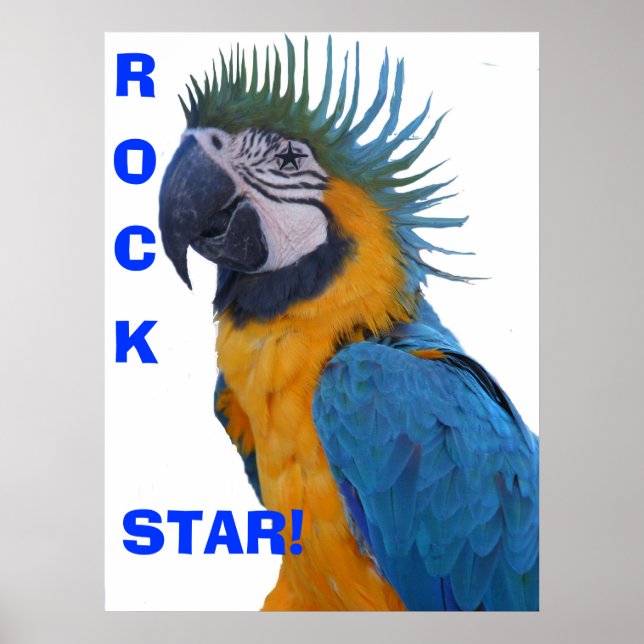 Rock Star Macaw Poster (Frente)