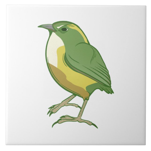 Rock Wren - Nova Zelândia (Frente)